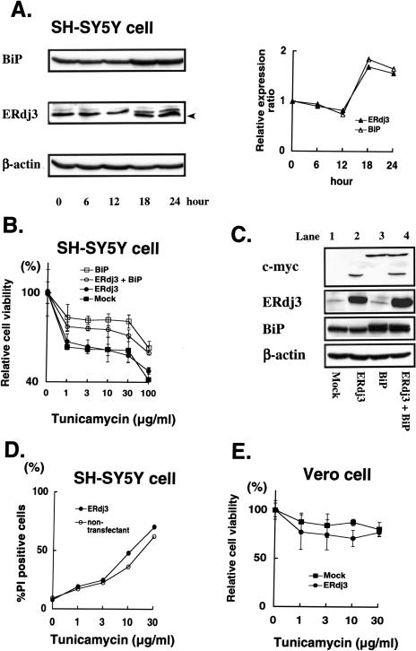 Fig 4.