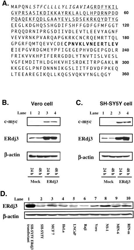 Fig 1.