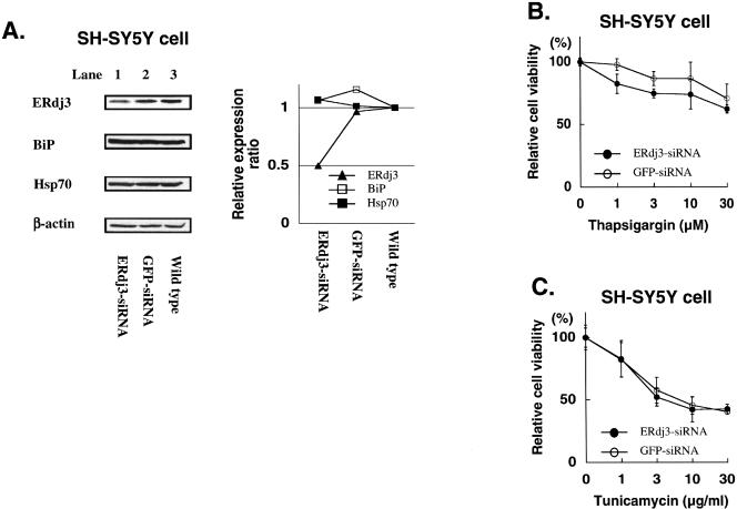 Fig 6.