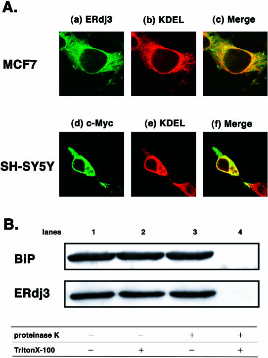 Fig 2.