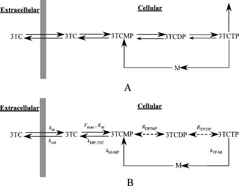 FIG. 1.