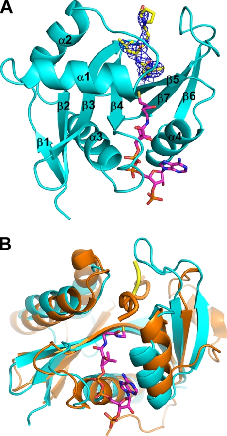 FIGURE 1.