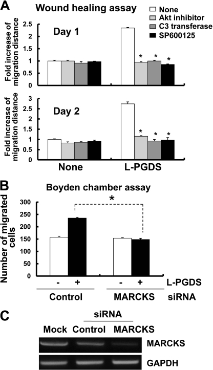 FIGURE 13.