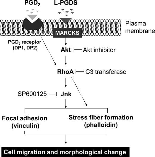 FIGURE 14.