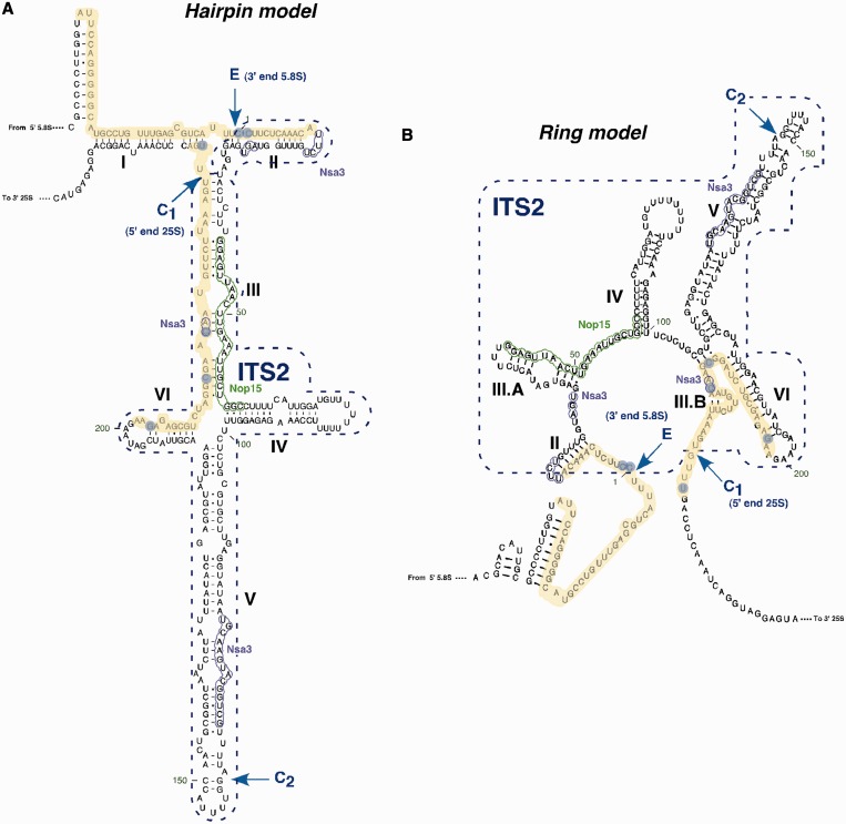 Figure 5.