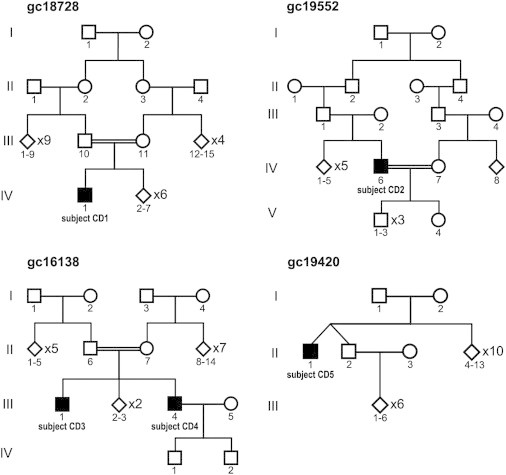 Figure 3