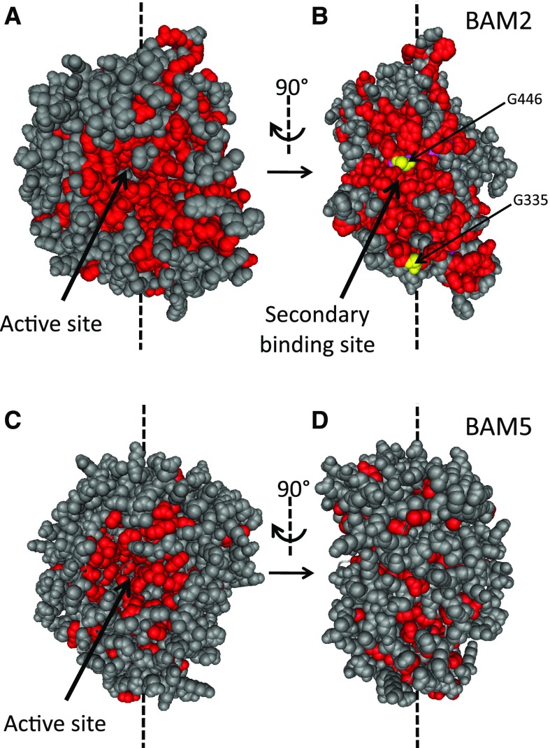 Figure 6.