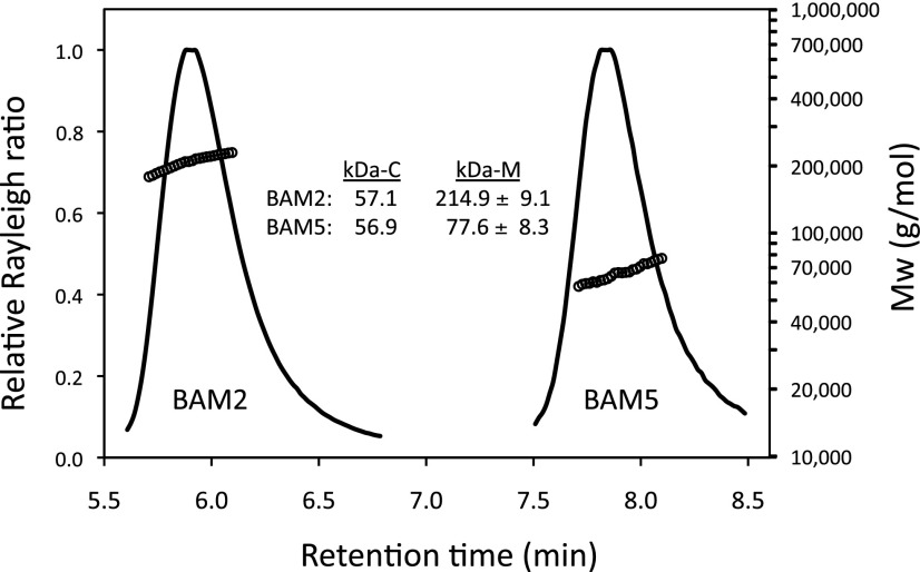 Figure 5.