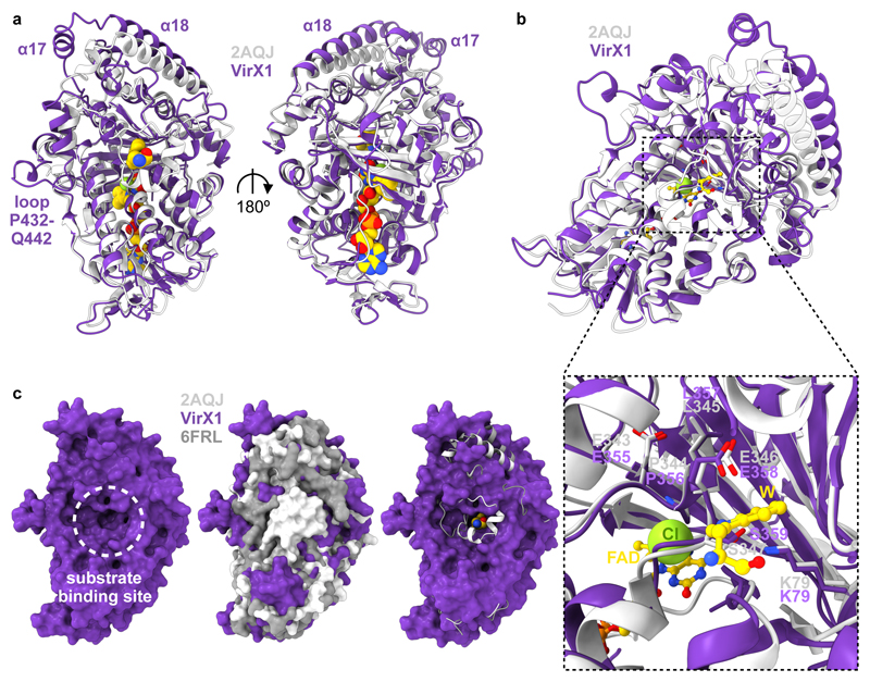 Fig. 4