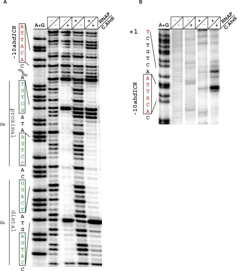 Figure 6.