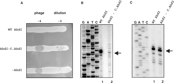 Figure 2.