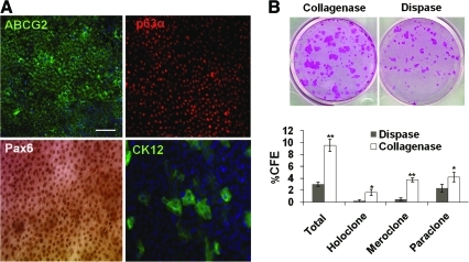 FIG. 7.