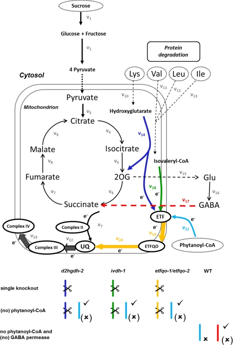 FIGURE 1.