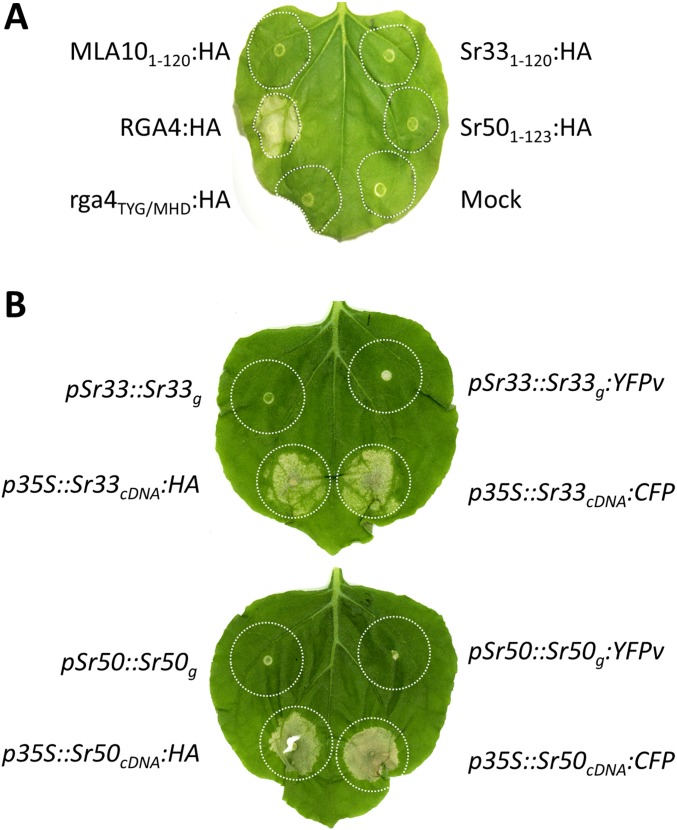 Fig. S2.