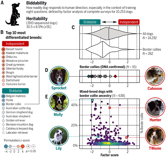 graphic file with name nihms-1849008-f0001.jpg