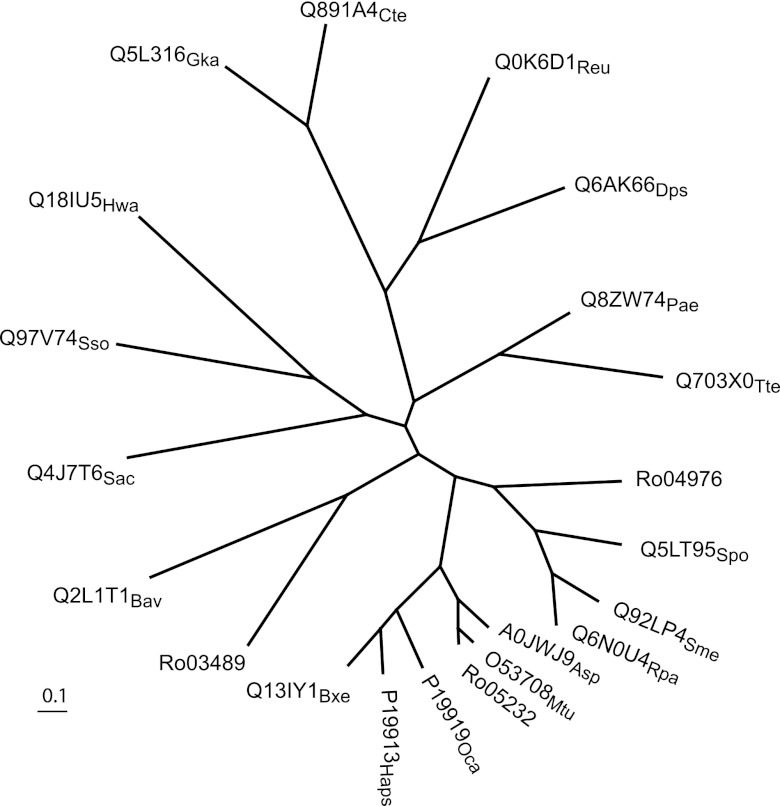 Fig 6