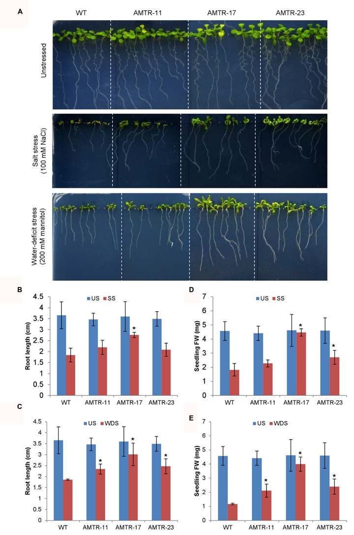 FIGURE 6