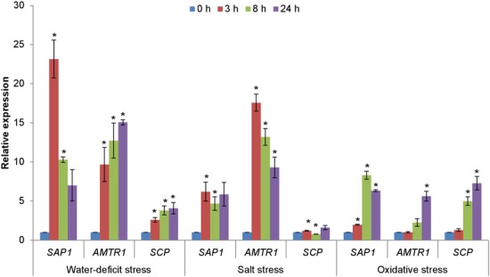 FIGURE 4