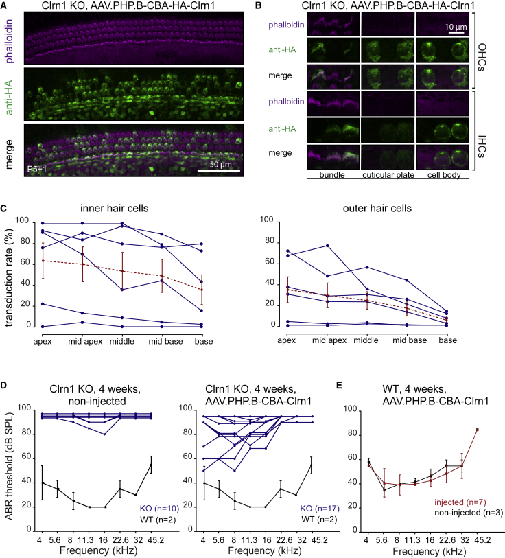 Figure 3