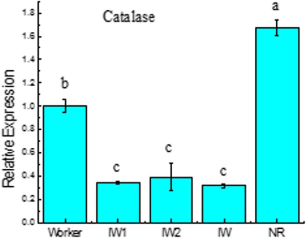 Fig. 8