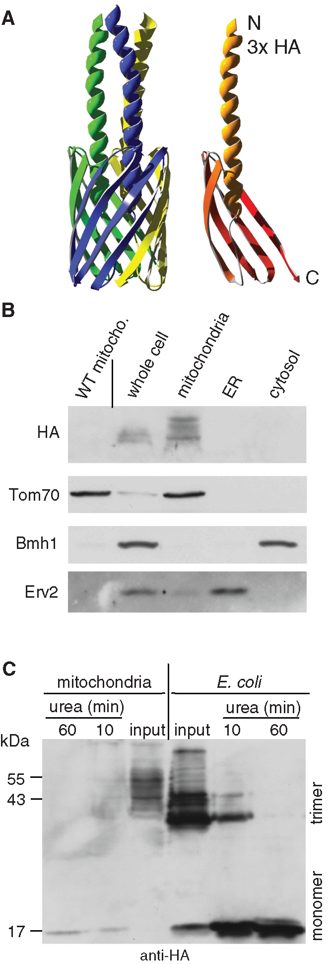 FIGURE 2: