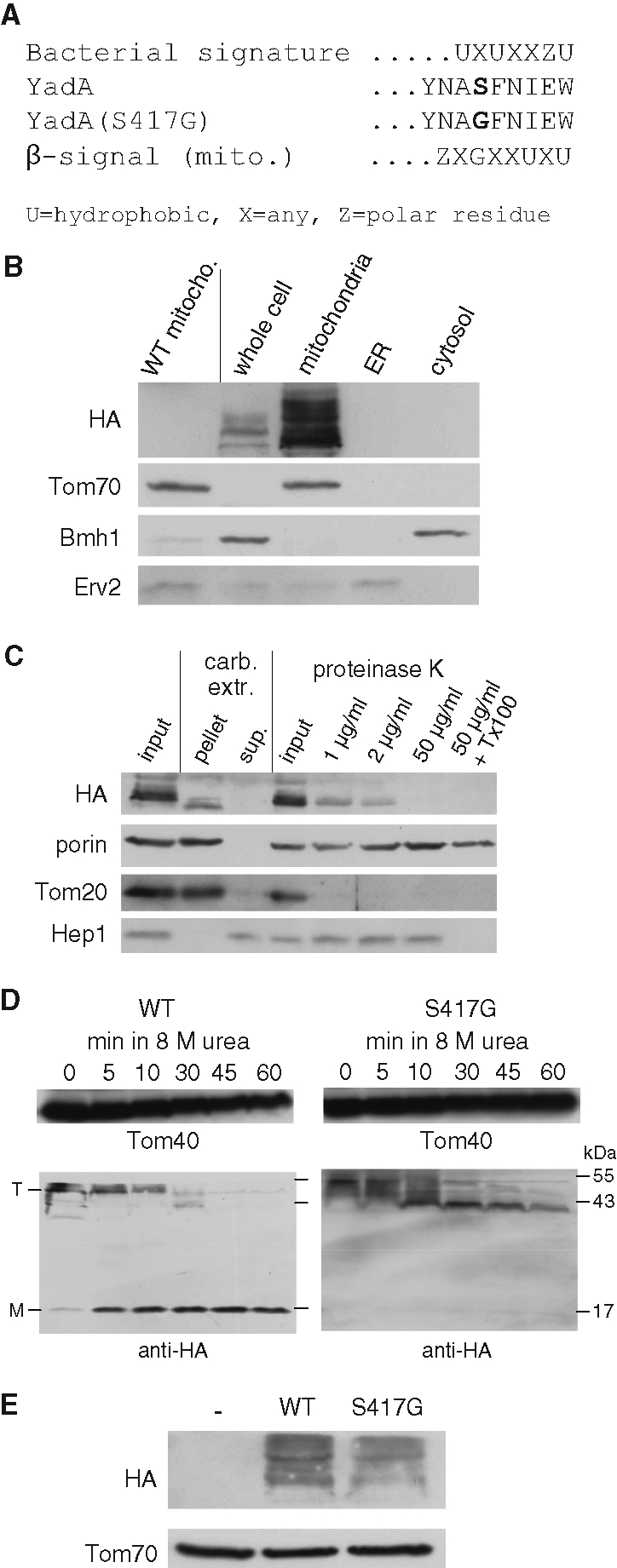 FIGURE 6: