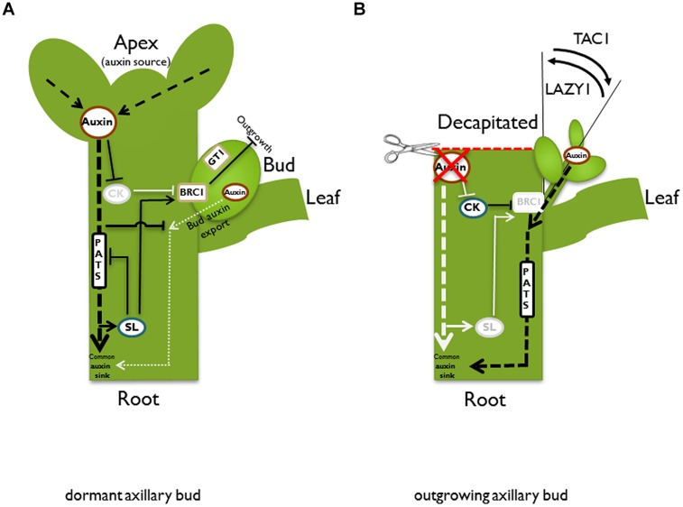 FIGURE 2