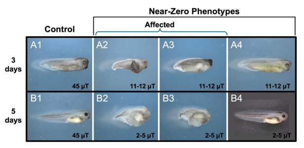 Figure 14.