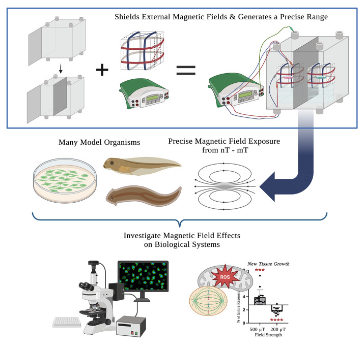 graphic file with name BioProtoc-14-19-5077-ga001.jpg