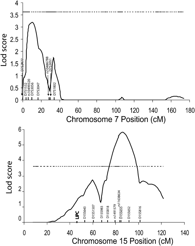 Fig. 6.