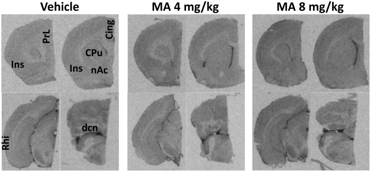 Fig 4