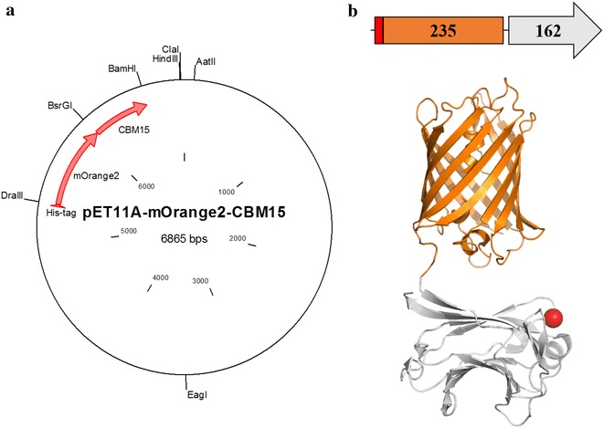 Fig. 1