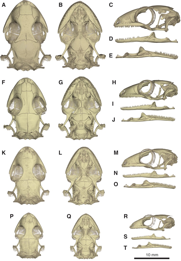 Figure 10