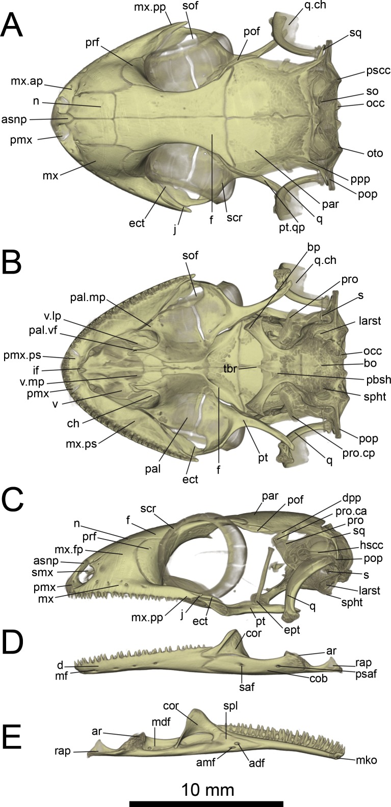 Figure 6