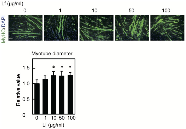 Figure 5.