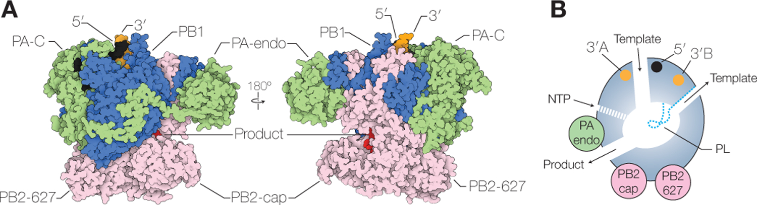 Figure 2.