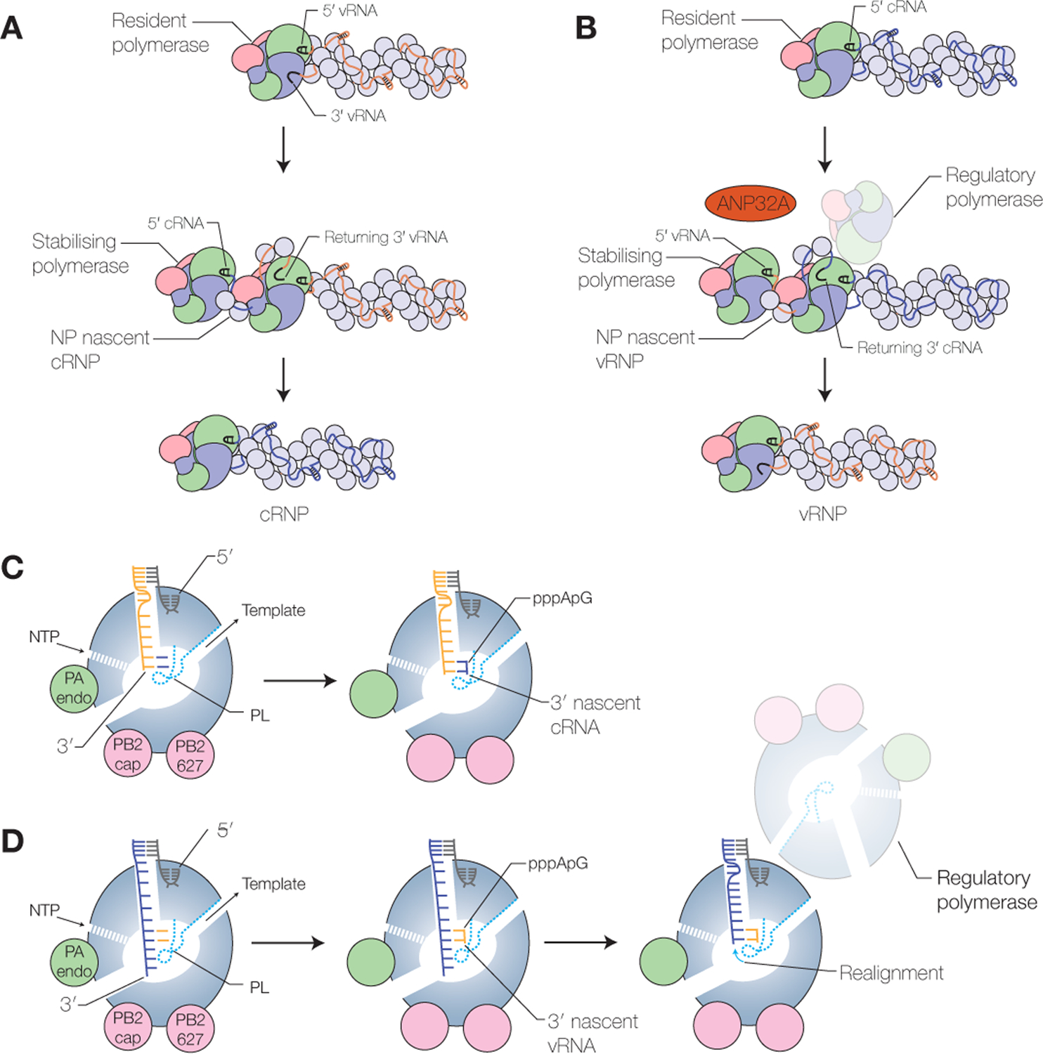 Figure 4.