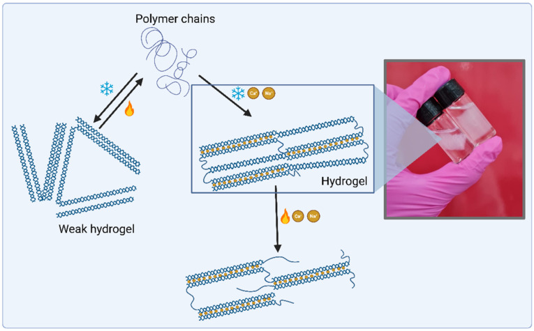 Figure 11