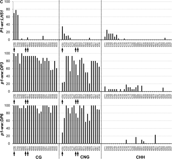 Figure 4.—