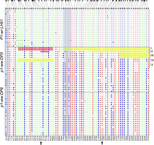 Figure 5.—