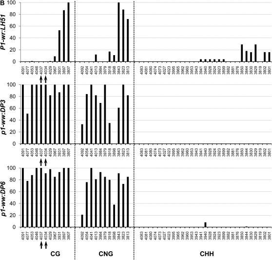 Figure 4.—