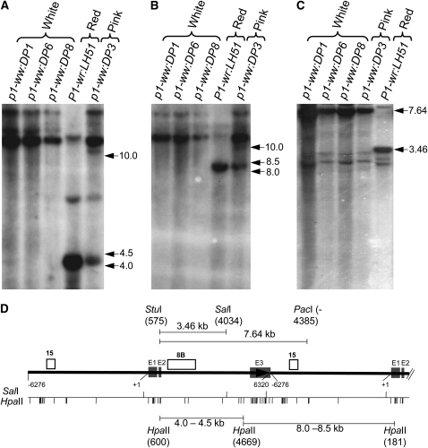 Figure 2.—