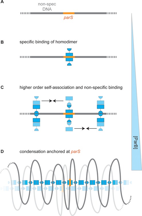 Figure 9.