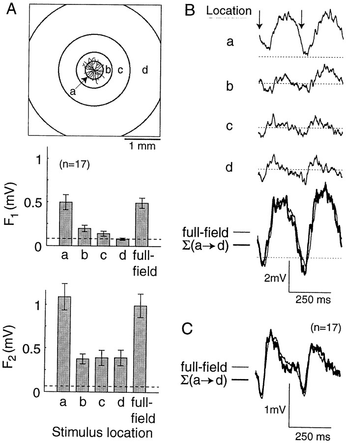 Fig. 12.