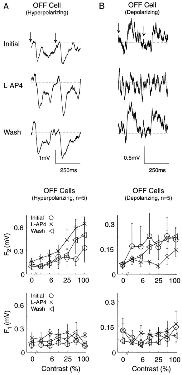 Fig. 9.