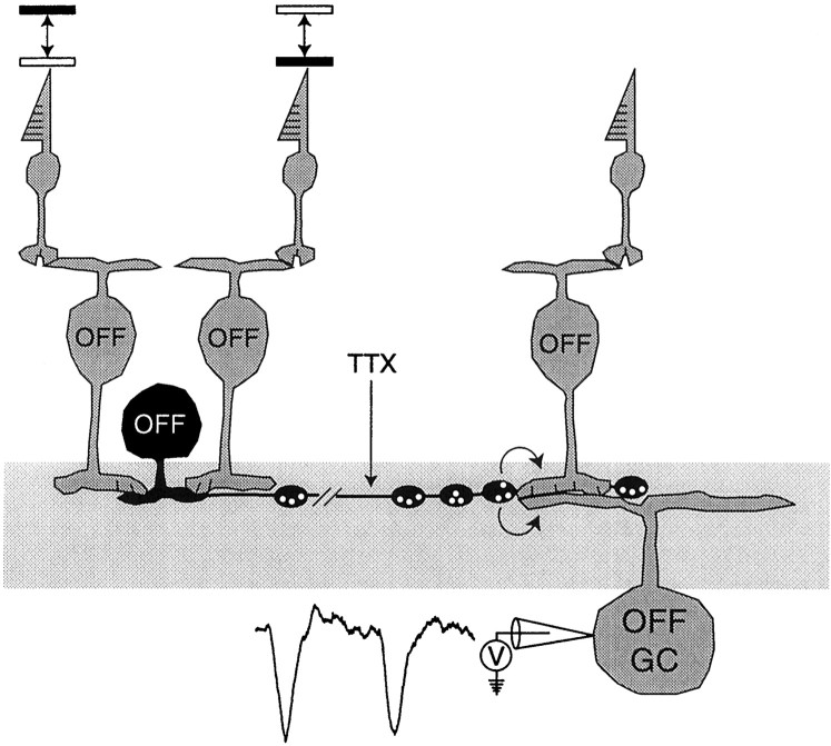 Fig. 13.