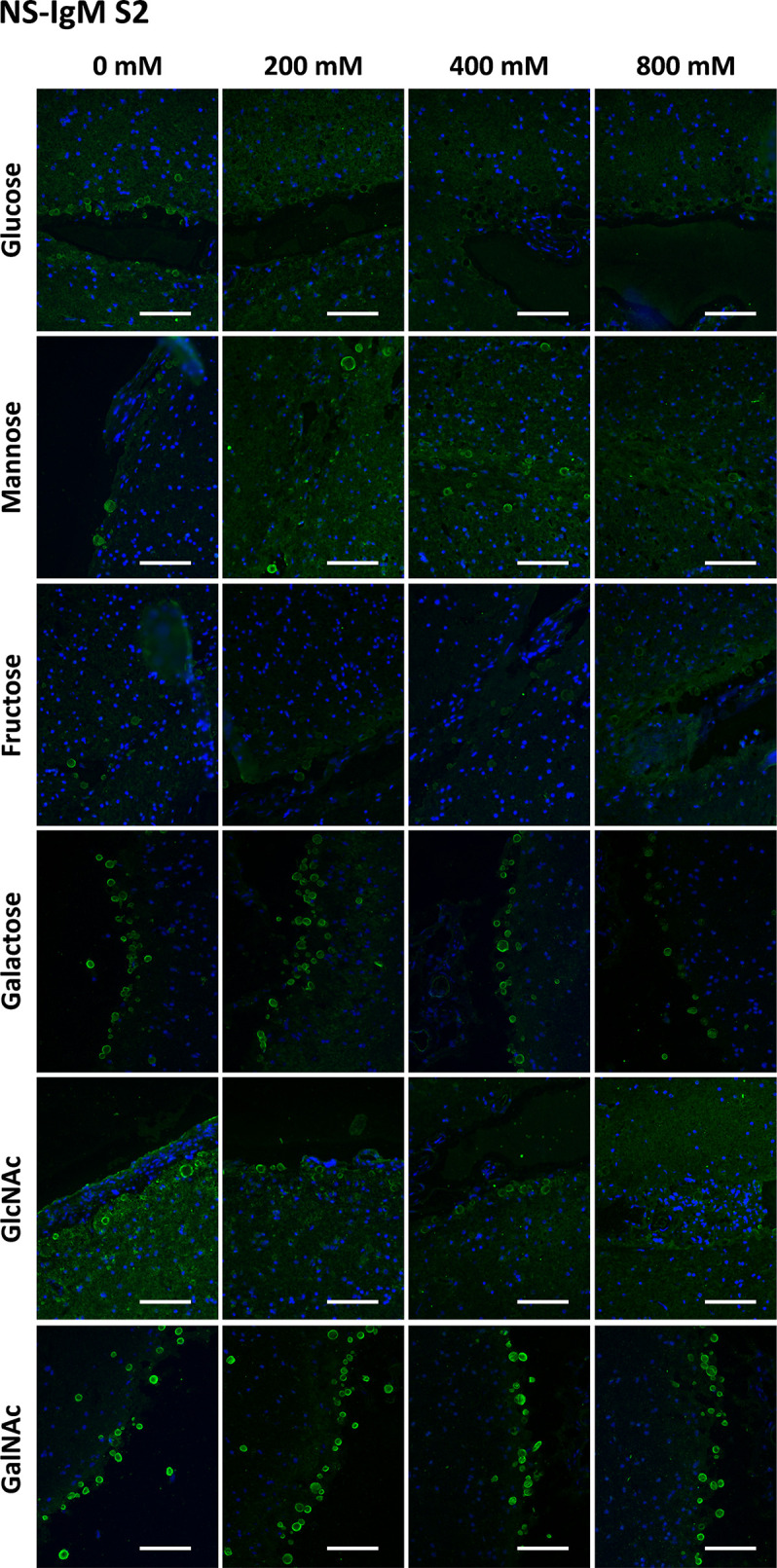 Figure 6