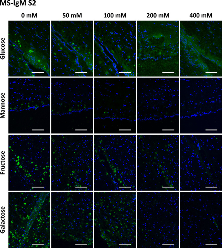 Figure 4