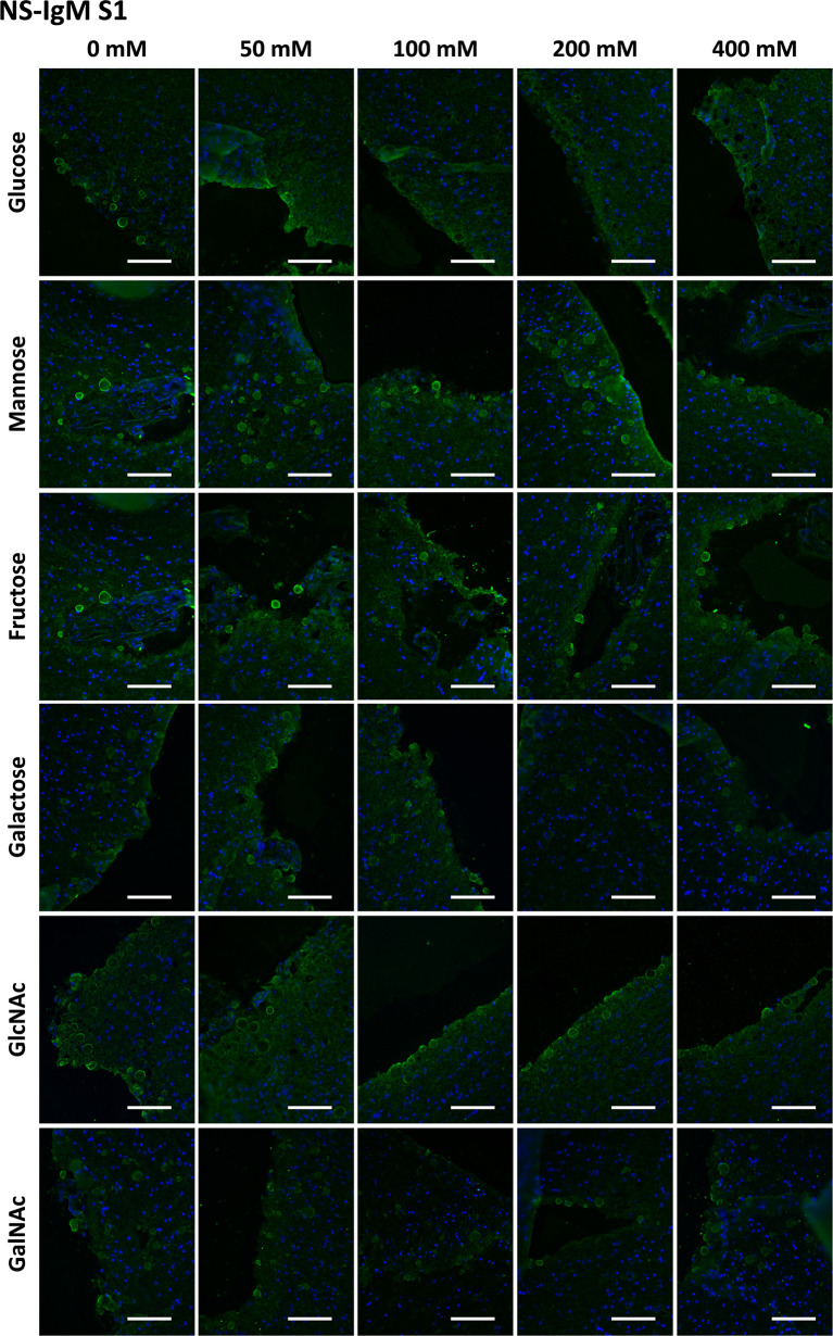 Figure 5