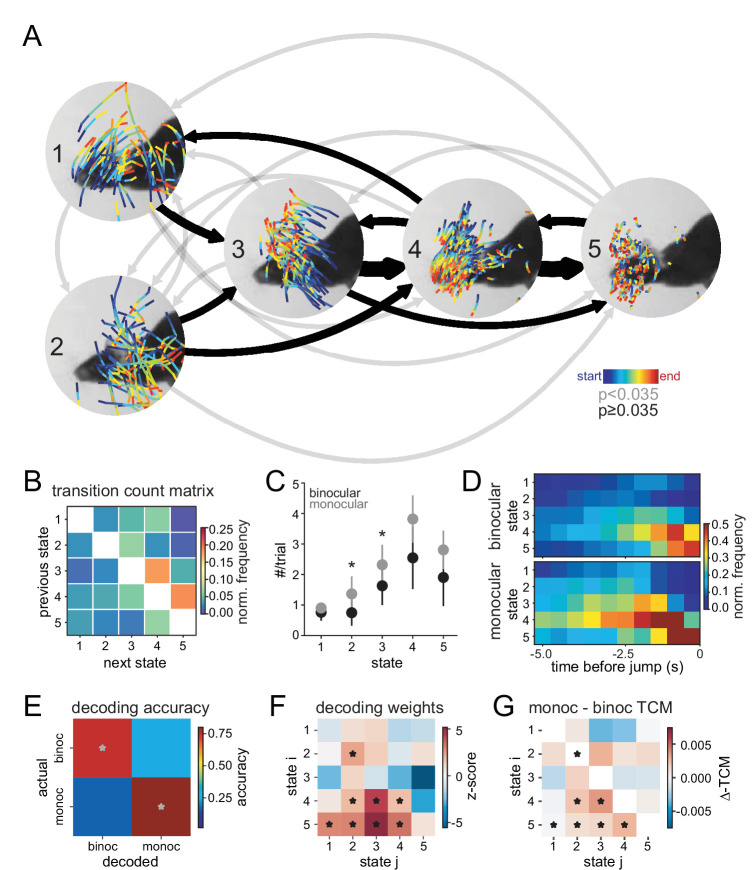 Figure 3—figure supplement 1.